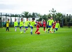 李晨,胡海泉告别,合资企业股,开宝体育官网,开宝体育平台,开宝体育链接,开宝体育官方