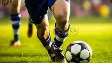 开宝体育 资讯 123559 lxs