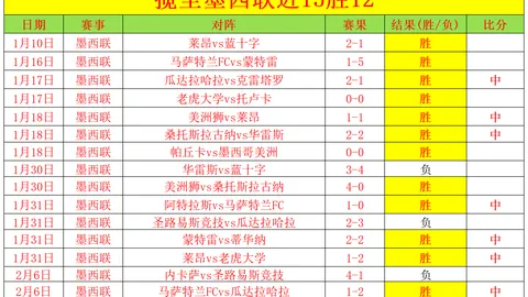 水晶宫前主席指责索斯盖特处理马奎尔问题不当，加剧危机